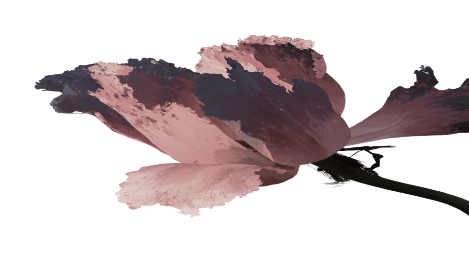 A muted pink watercolor flower